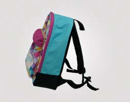 backpack 27