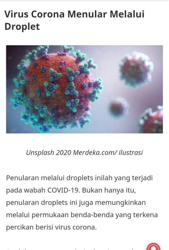 topi corona hat-f-14