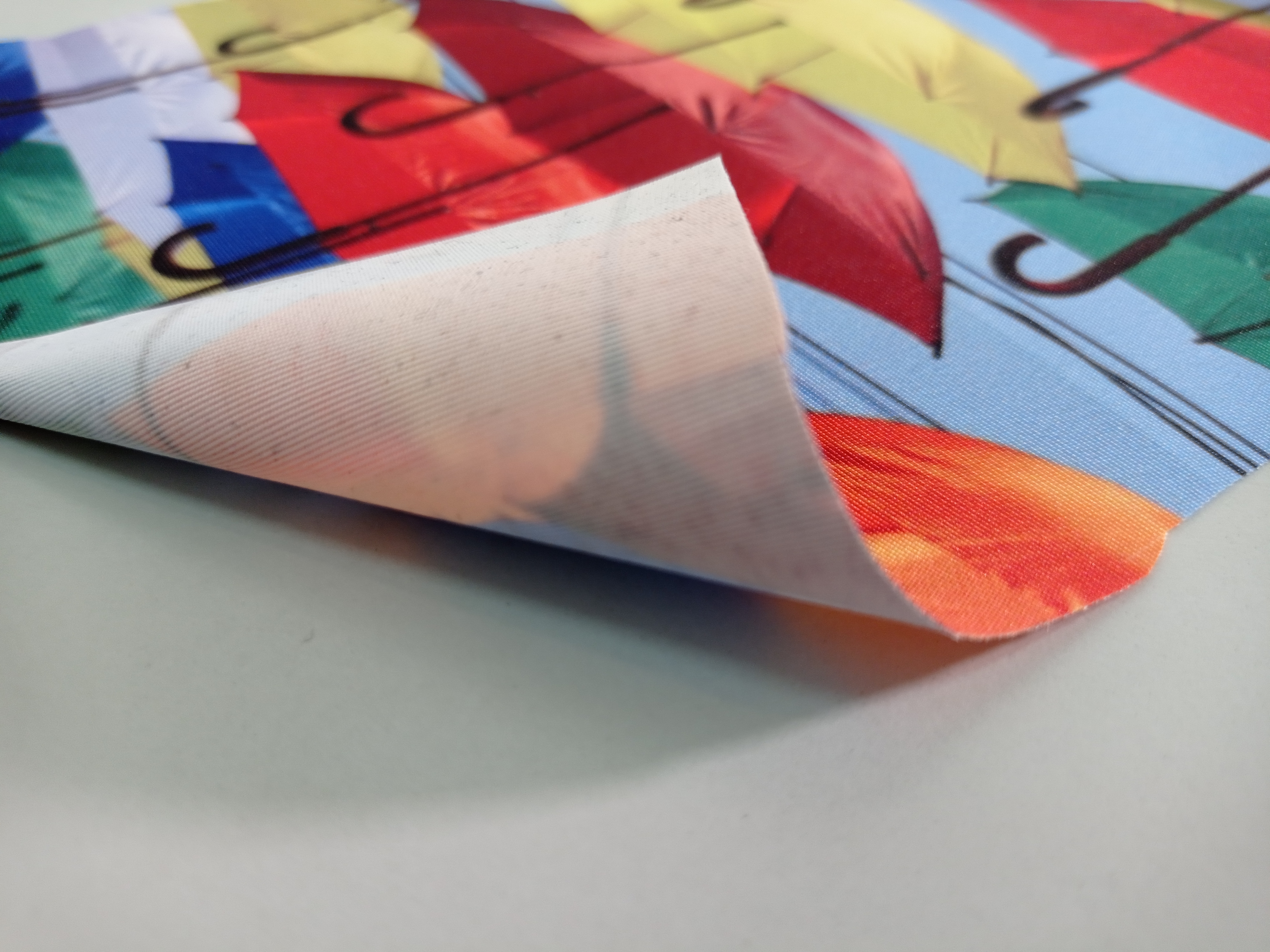 taslan front and back